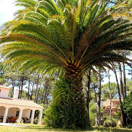 Mauka Ericeira Bed and breakfast